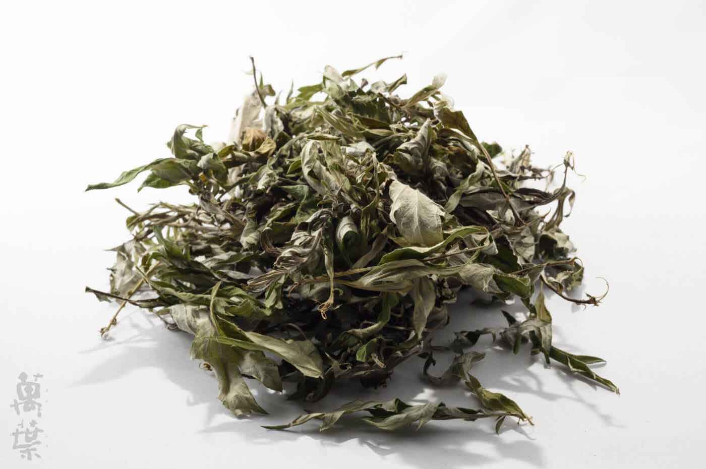 野草酵素萬葉[まんよう]の原材料よもぎ(蓬)