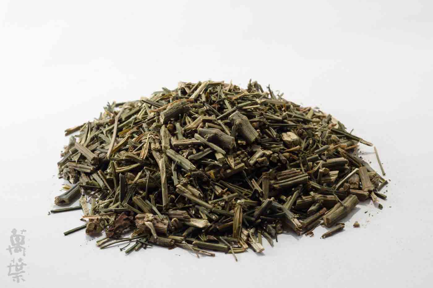 野草酵素萬葉[まんよう]の原材料せんしんれん(穿心蓮)