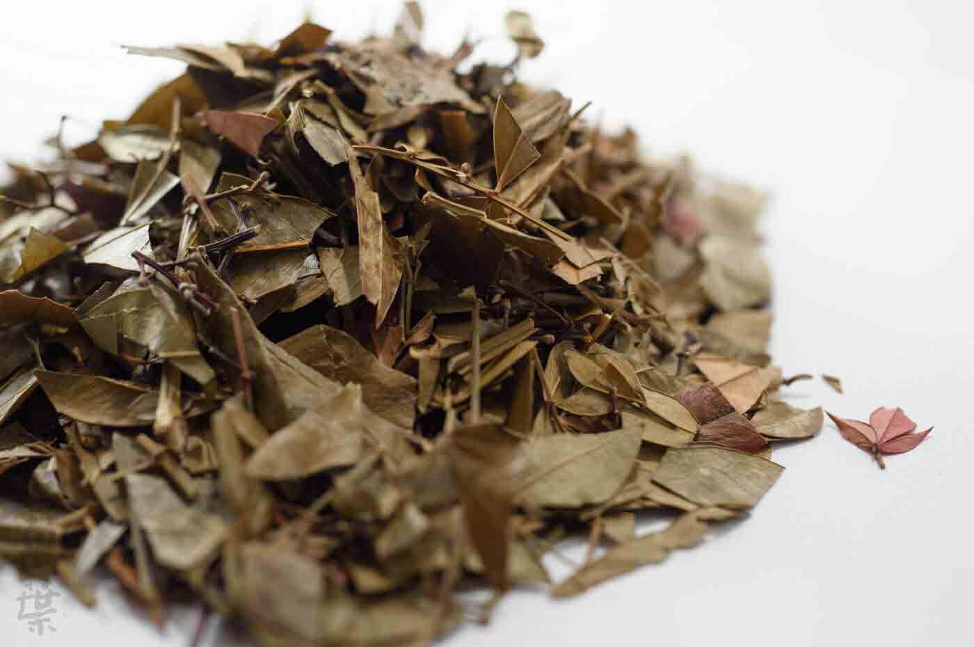 野草酵素萬葉[まんよう]の原材料なんてんのは(南天の葉)