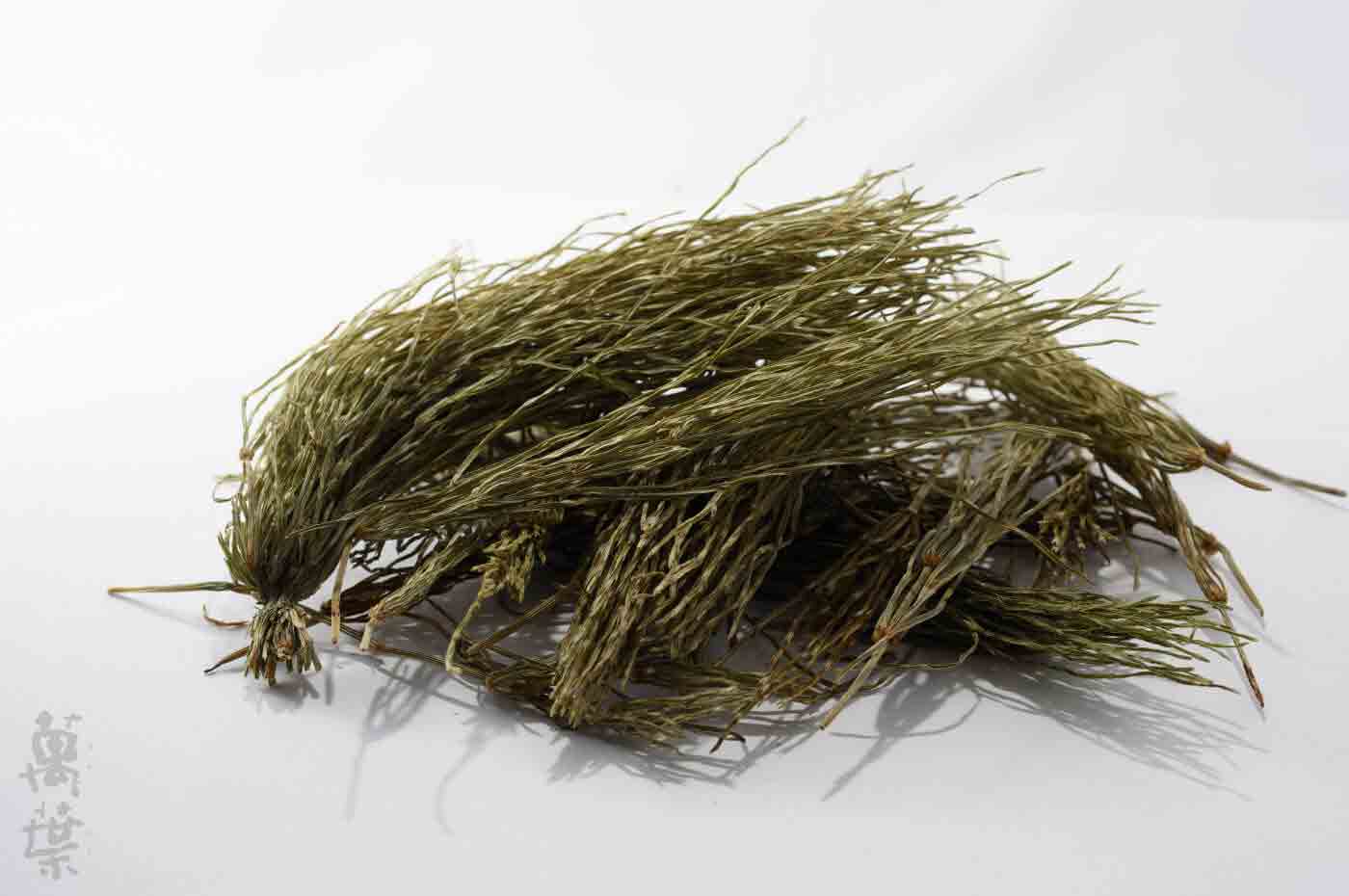 野草酵素萬葉[まんよう]の原材料すぎな(杉菜)