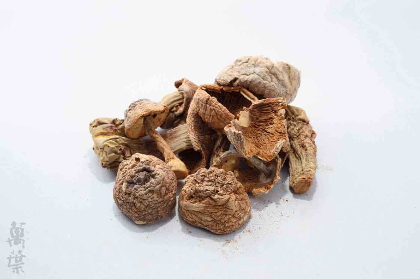 野草酵素萬葉[まんよう]の原材料あがりくす(ニセモリノカサ)