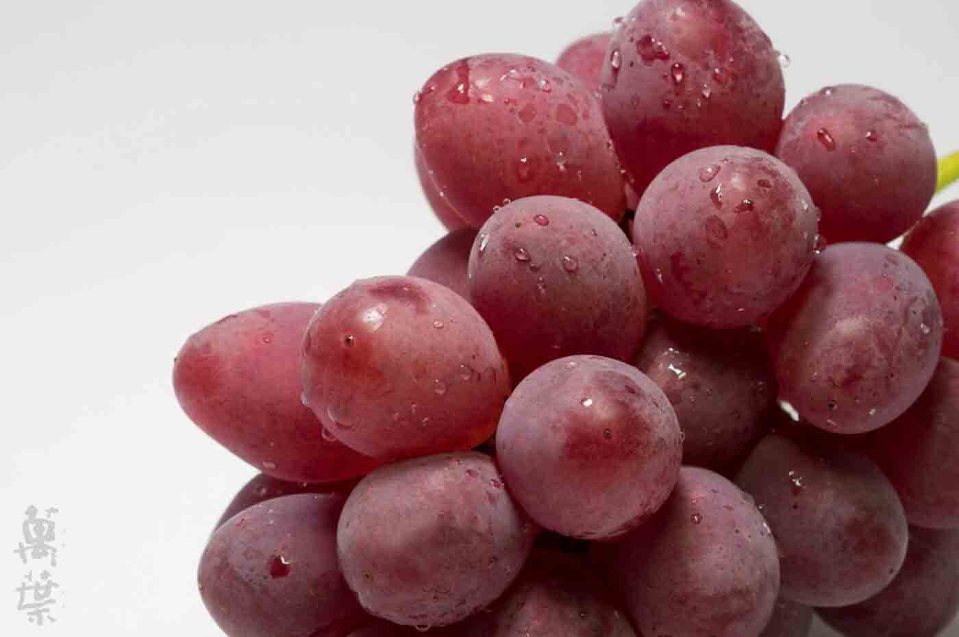 野草酵素萬葉[まんよう]の原材料ぶどう(葡萄)