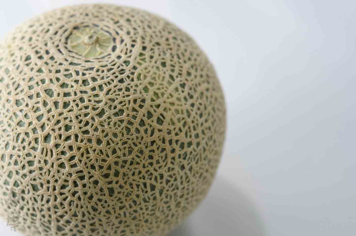 野草酵素萬葉[まんよう]の原材料めろん(甜瓜)