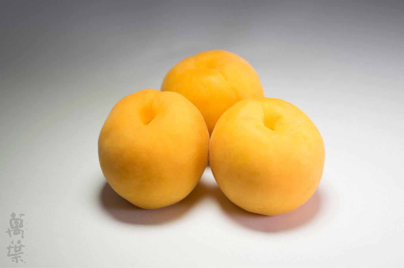 野草酵素萬葉[まんよう]の原材料あんず(杏子)