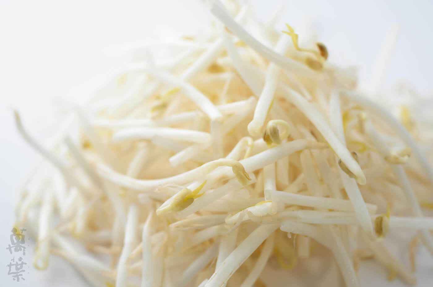 野草酵素萬葉[まんよう]の原材料もやし(糵)