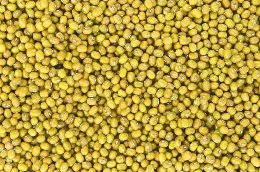 野草酵素萬葉[まんよう]の原材料もやし(糵)