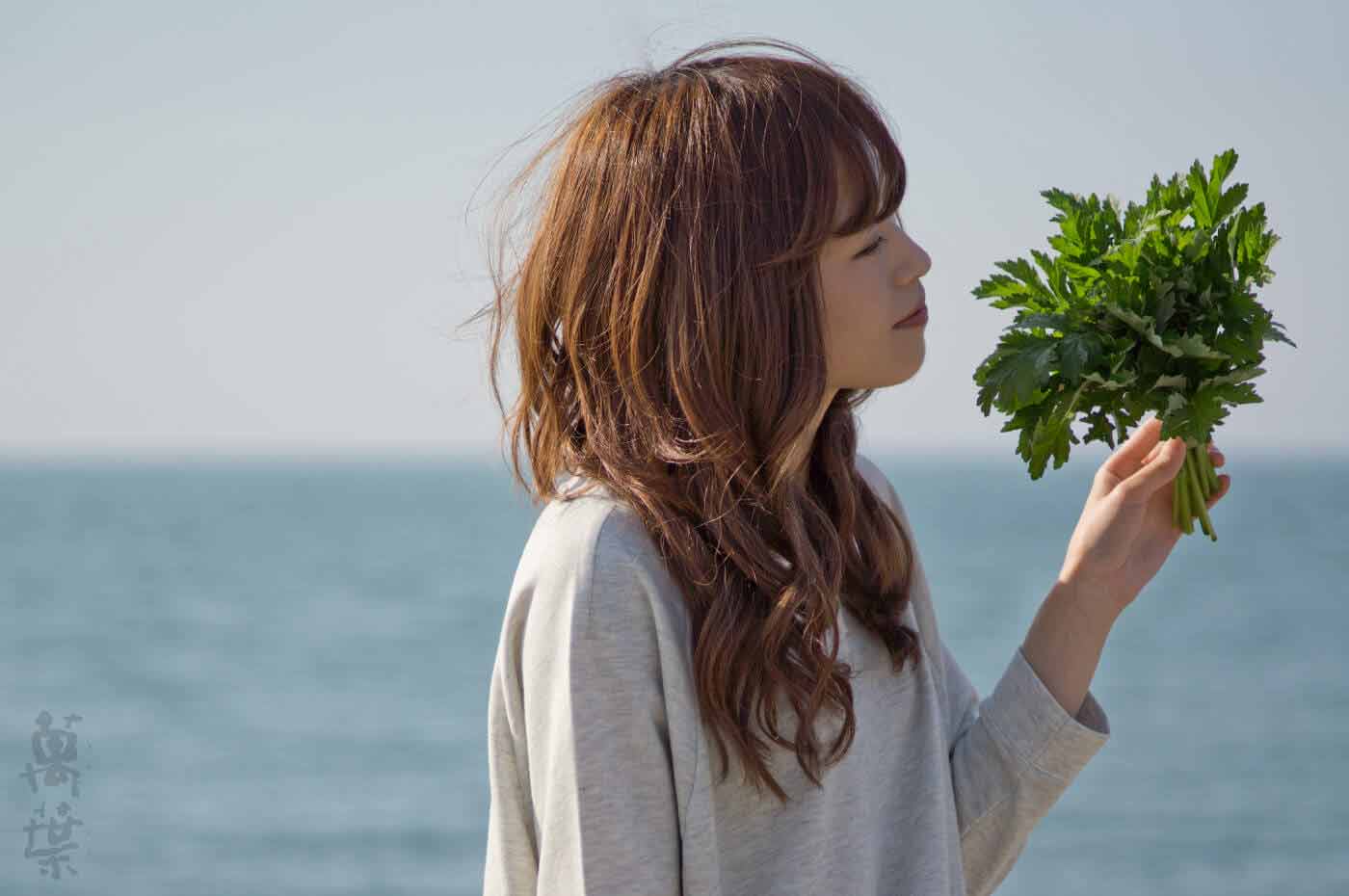 野草酵素萬葉の原材料ヨモギとまんようガール