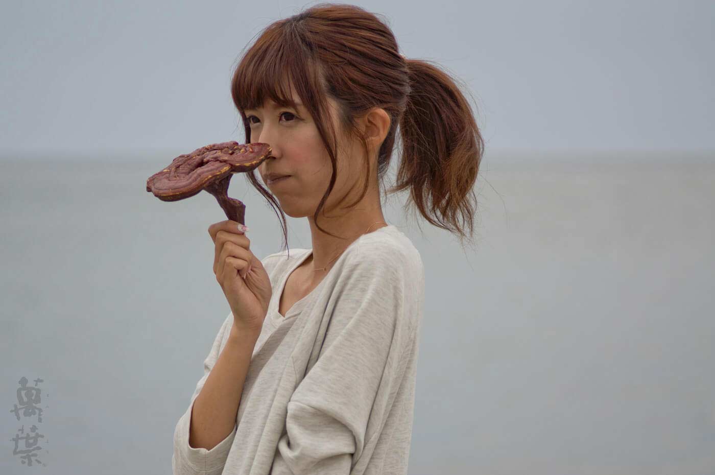 野草酵素萬葉の原材料レイシとまんようガール