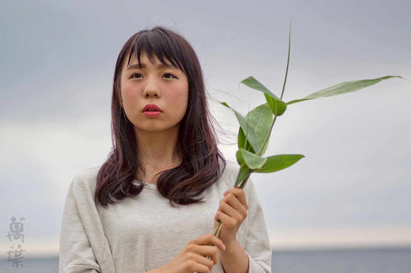 野草酵素萬葉の原材料クマザサとまんようガール