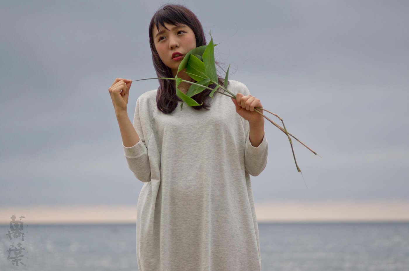 野草酵素萬葉の原材料クマザサとまんようガール