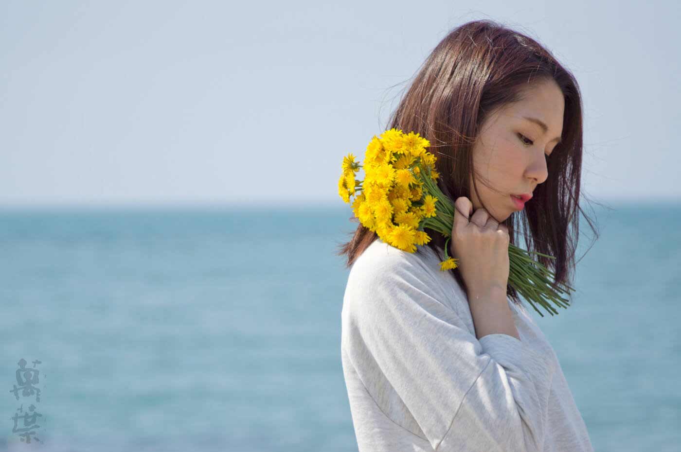 野草酵素萬葉の原材料タンポポの根とまんようガール