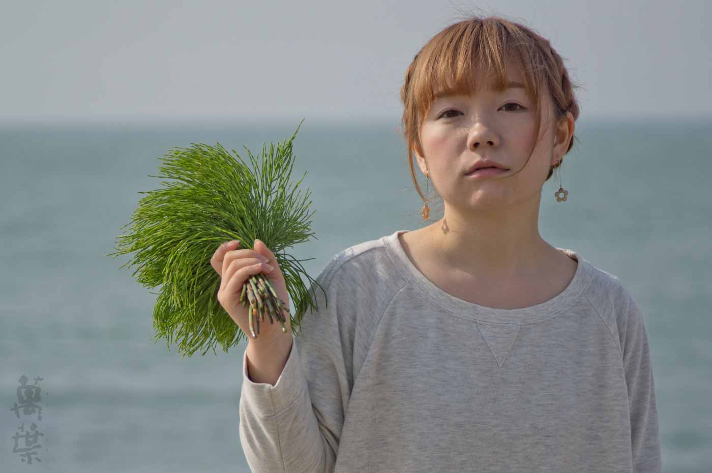 野草酵素萬葉の原材料スギナとまんようガール