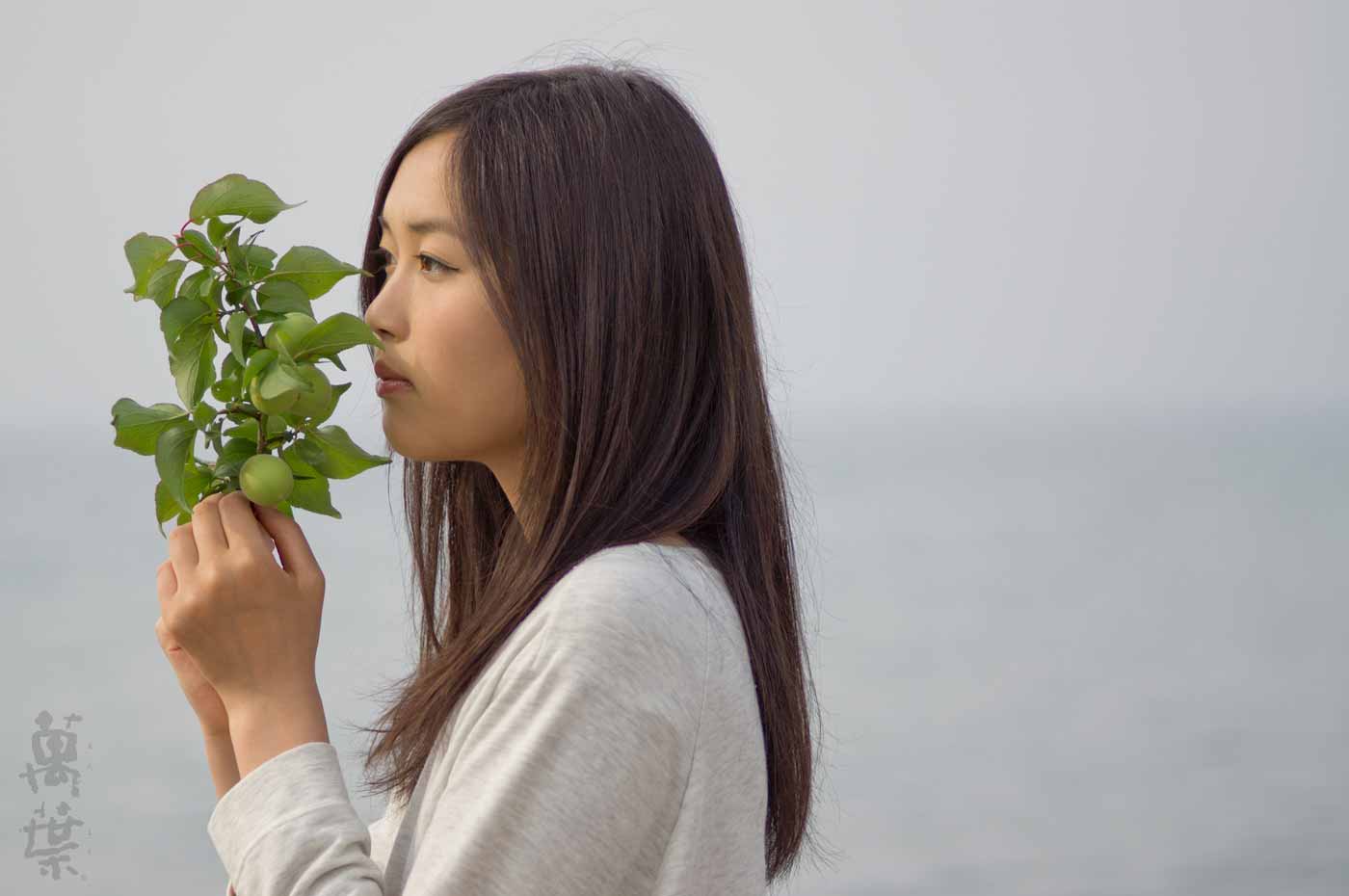 野草酵素萬葉の原材料ウメとまんようガール