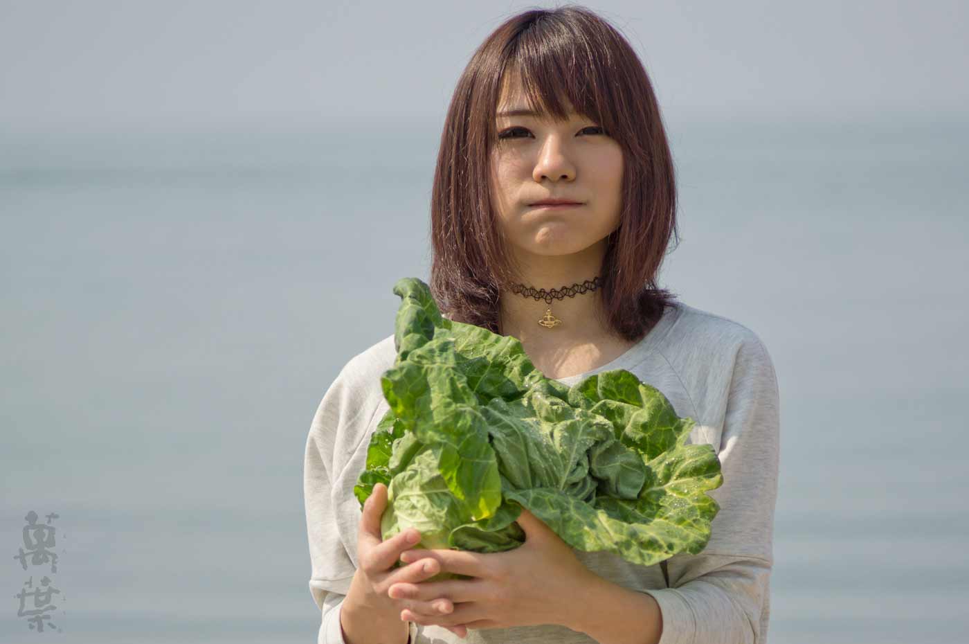 野草酵素萬葉の原材料キャベツとまんようガール