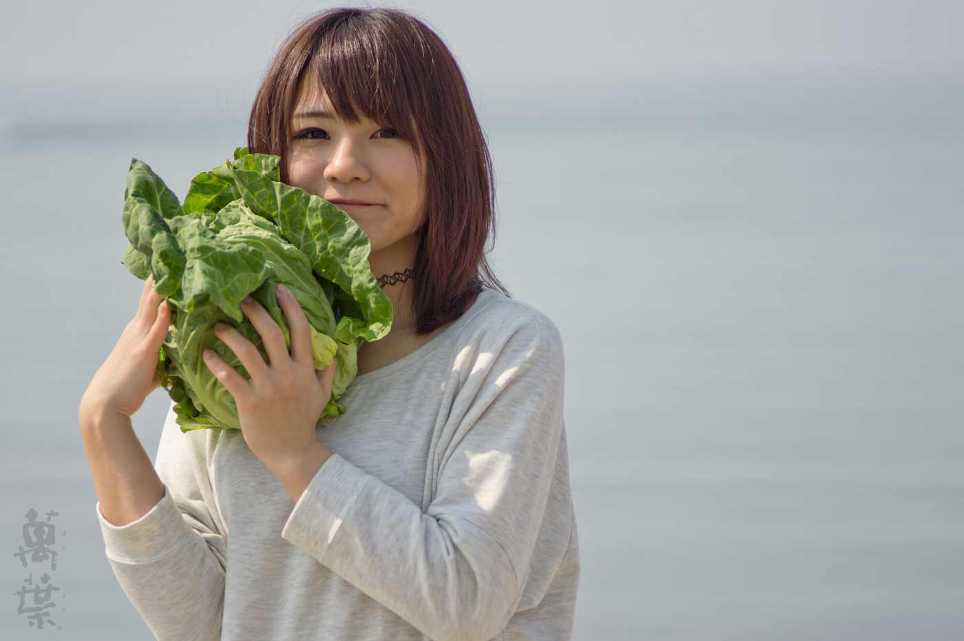 野草酵素萬葉の原材料キャベツとまんようガール