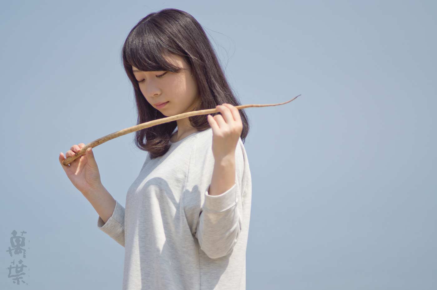 野草酵素萬葉の原材料ゴボウとまんようガール