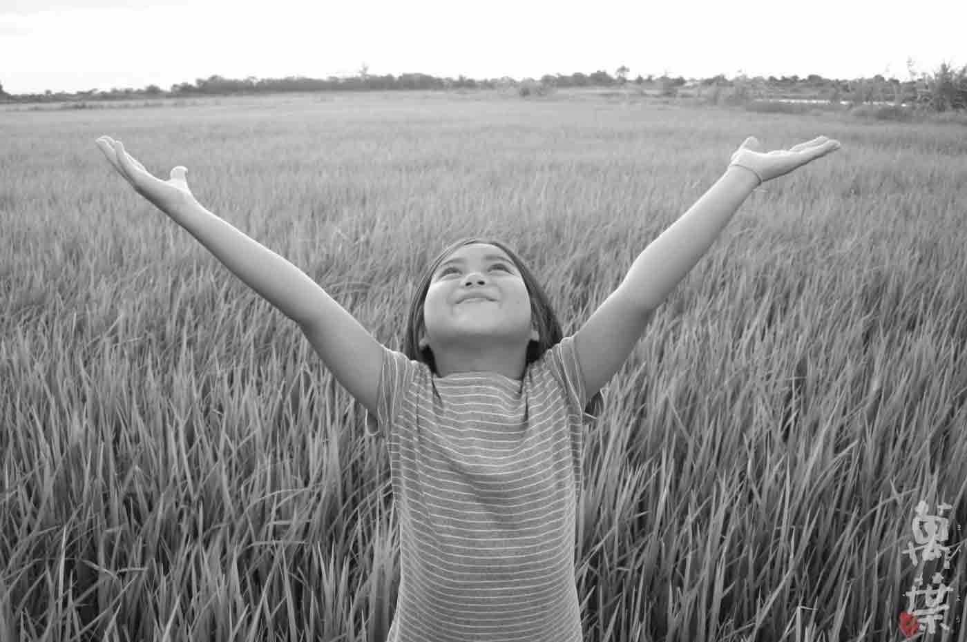 新潟の田んぼの真ん中で手を広げている女の子