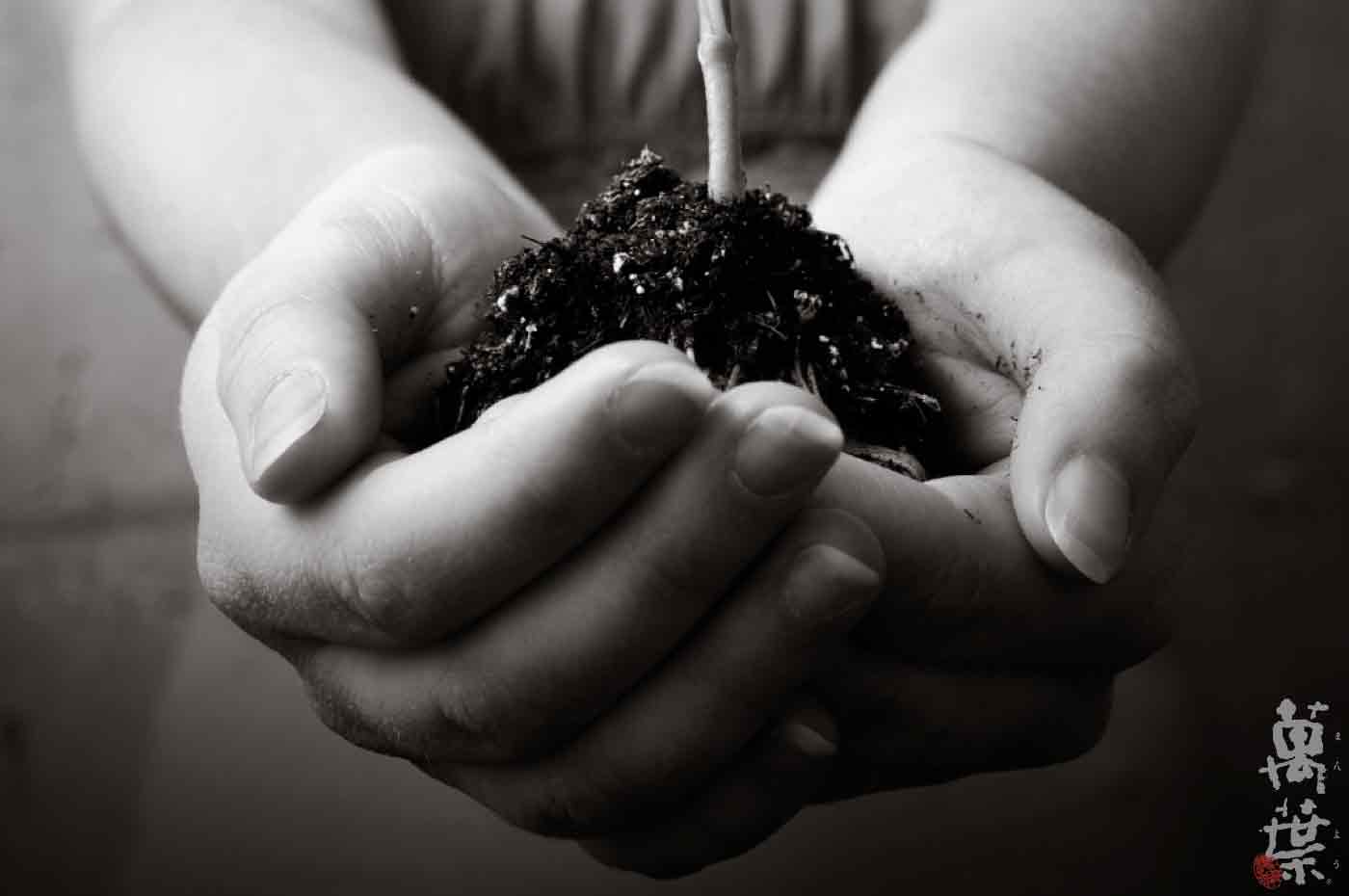 土をすくいあげている女性の手
