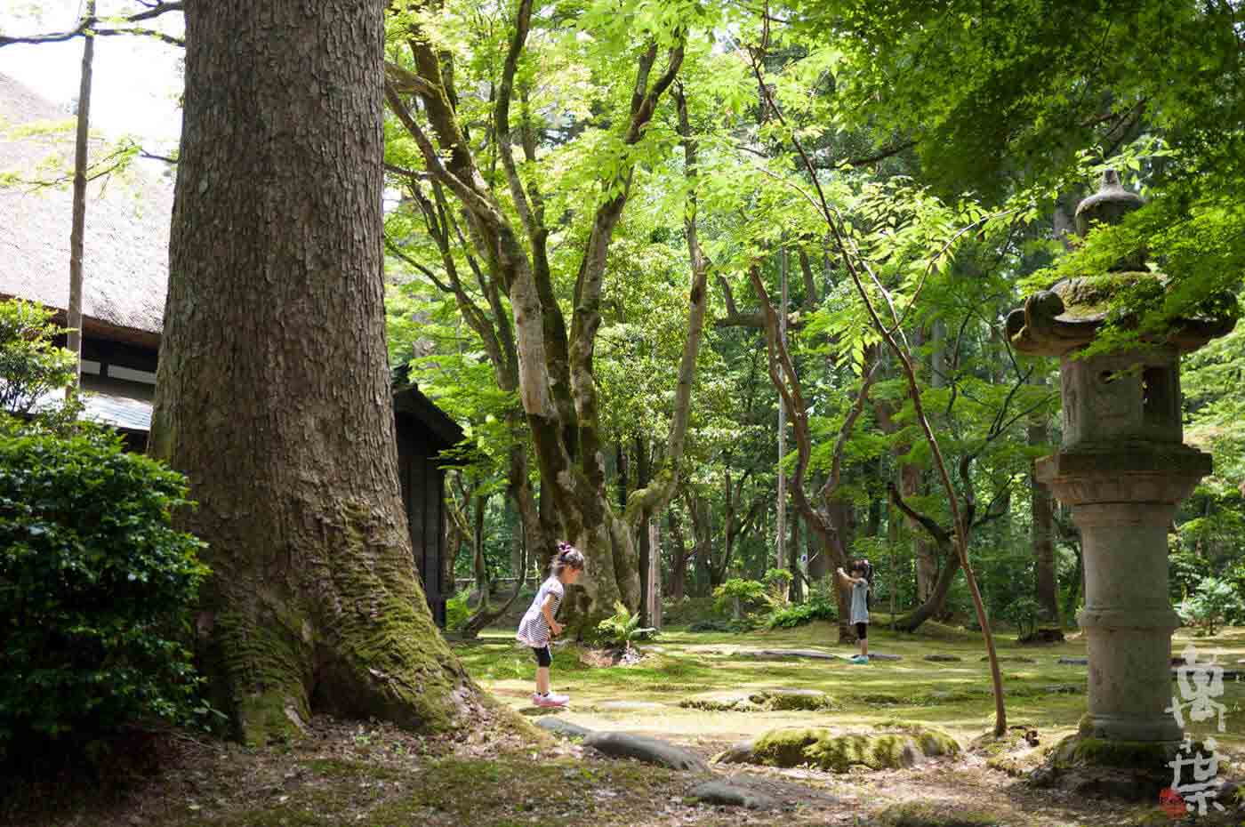 新潟県上越市三和区の林富永邸で遊ぶ姉妹