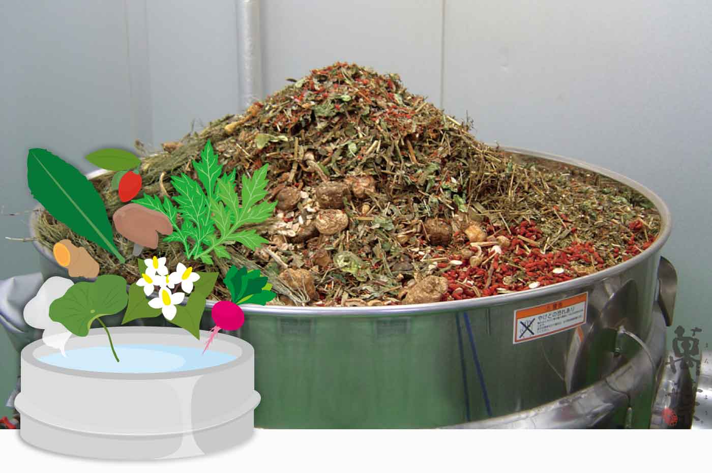 大釜に投入された野草酵素萬葉に使用される原材料
